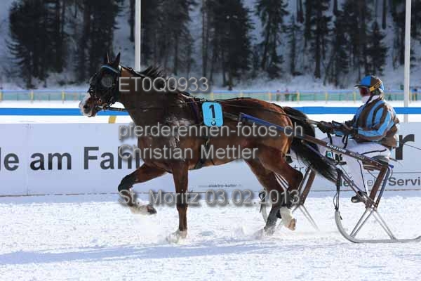 ET0Q0933 prot